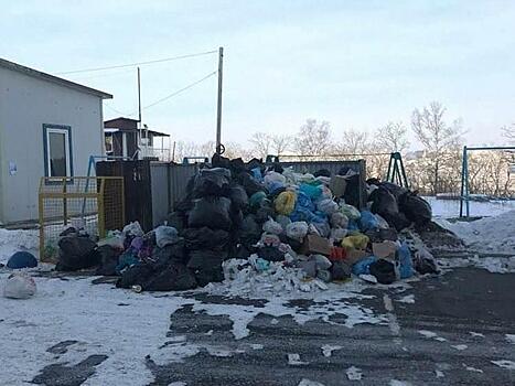 Прокуроры возбудили административные дела из-за мусорного коллапса в Приморье
