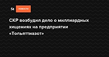 СК возбудил дело о хищениях на «Тольяттиазоте» 2,5 млрд рублей