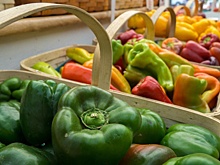 О фермерских продуктах и напитках брожения расскажут слушателям открытых лекций в вузе на Волоколамке