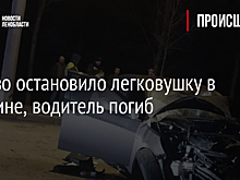 Дерево остановило легковушку в Пушкине, водитель погиб