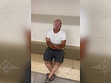 ТАСС: напавший на ребенка в Шереметьево мужчина признал вину