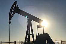 Аль-Фалих: Пары новых членов продленной венской сделки хватит для цели по запасам нефти