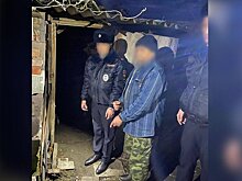 Кубанский суд отменил оправдательный приговор пенсионеру, убившему девочку молотком
