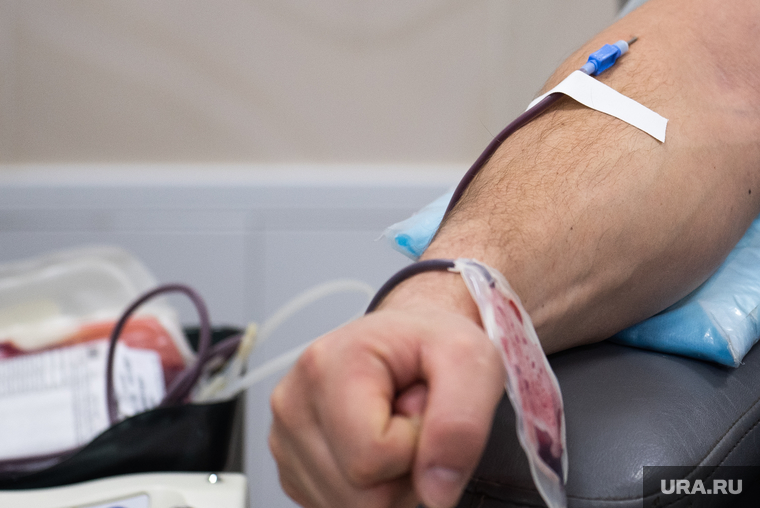Курганцам предлагают сдавать кровь для пострадавших при теракте в Подмосковье