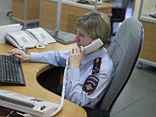 Группа воров-борсеточников задержана в Москве