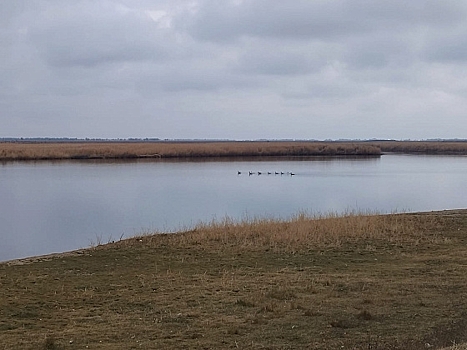 Реку Яму в Волгоградской области чистят от мусора