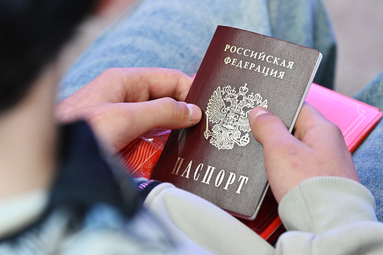 В Общественной палате призвали к замене бумажных паспортов электронными