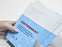 Жительнице Новосибирска грозит тюрьма за поддельный ковид-сертификат