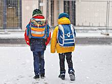 Самые холодные дни: при каких морозах в Москве отменяют школьные занятия