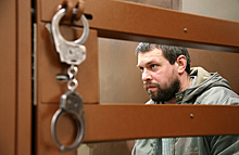 Голунов поддержал требование прокуратуры о сроках для подбросивших ему наркотики экс-полицейских