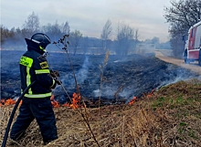 Сельхозпалы охватили всю Смоленскую область