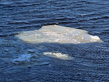 Нижегородцам объяснили, почему нельзя лизать лед на водоемах