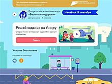 Госавтоинспекторы Владимирской области проводят практические уроки дорожной грамотности с учащимися начальных классов