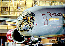 Российская авиакомпания обзавелась «самолетом-леопардом»