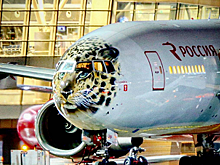 Российская авиакомпания обзавелась «самолетом-леопардом»