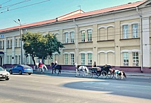 После травмоопасного побега пони Барби депутаты обсудили, как организовать катание на лошадях в Омске