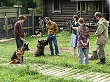 Вышел трейлер комедии «Пальма 2» про дружбу овчарки и медвежонка