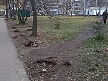 В Ярославле подрядчик демонтировал школьный забор и пропал