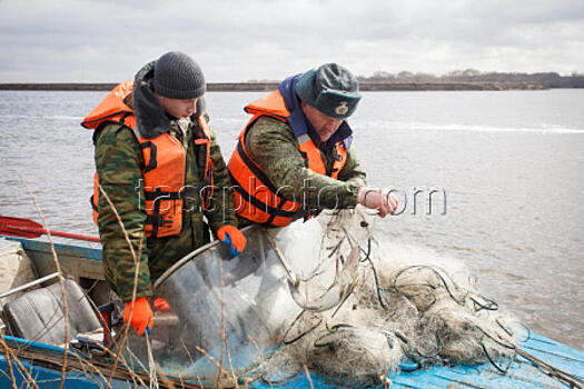 Загадочный пикник. Почти детективная история с забытой рыболовной сетью