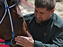 Скакуны Кадырова обогнали хозяина по доходам