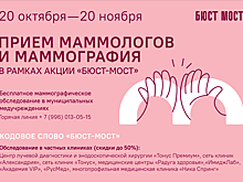 В этом году проект «Бюст-мост через Волгу: против рака груди» пройдет с 20 октября по 20 ноября
