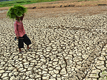 Эль-Ниньо вызовет рост цен на продукты в развивающихся странах