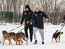 Игроки «Химок» посетили собачий приют во Всемирный день домашних животных и передали корм