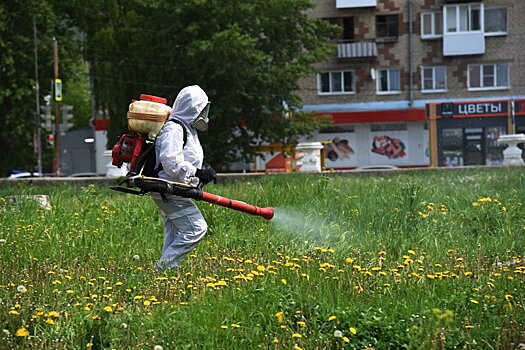 Металлургический и Тракторозаводский районы Челябинска защитят от клещей