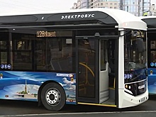 По улицам Петербурга начали курсировать электробусы