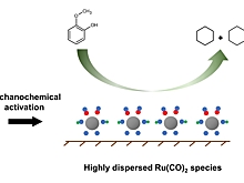Ученые разработали высокоэффективный катализатор для переработки древесных отходов в топливо