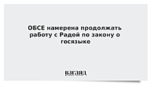 ОБСЕ намерена продолжать работу с Радой по закону о госязыке