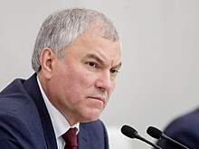 Володин оценил предварительные результаты выборов в Европарламент