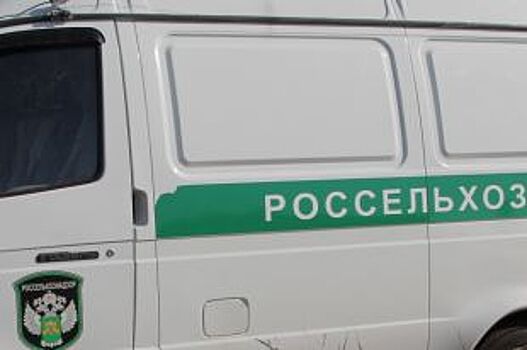 Грубое нарушение ветеринарных норм выявлено в ЦГБ Гуково