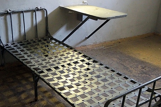 Арестованный в Армении оппозиционер объявил голодовку