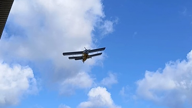 Жители Саратова увидели низко летящий «кукурузник» и испугались за пчел