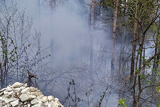 Три гектара леса горят в нацпарке под Саратовом