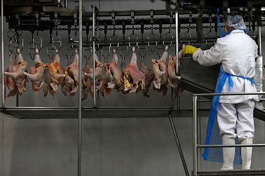 Эксперты и производители прокомментировали запрет экспорта мяса птицы