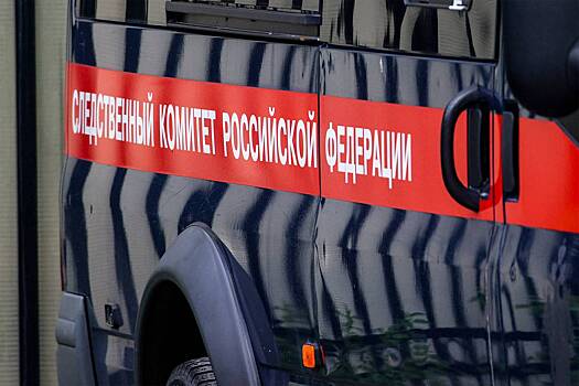 Российские силовики задержали работавшего на иностранные спецслужбы адвоката