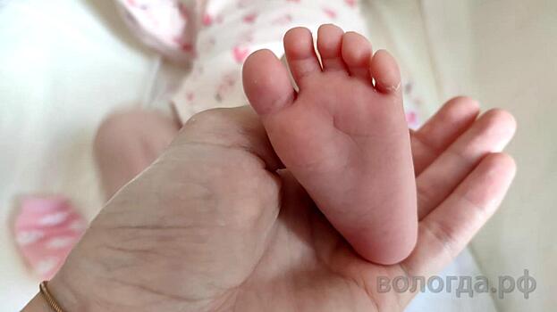 Каждый четвертый вологодский малыш регистрируется через суперсервис «Рождение ребёнка»