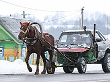 Как не стать жертвой нечестных автодилеров