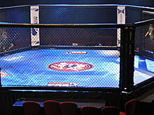 UFC предсказали супербои каждую неделю после карантина
