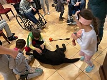 Дети из реабилитационного центра познакомились с собакой-доктором