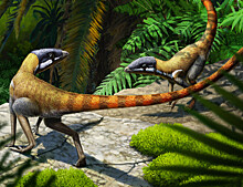 Найден ближайший родственник птерозавров