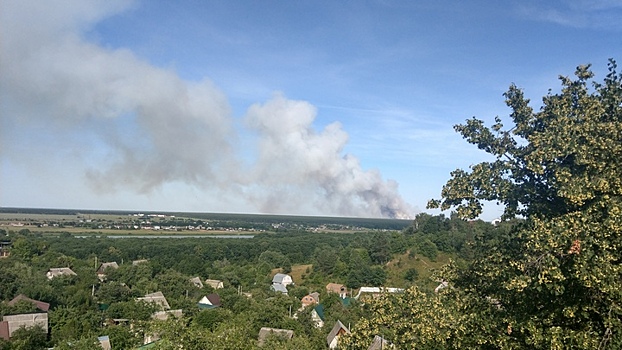 В Воронежском заповеднике загорелся лес: дым виден за несколько километров