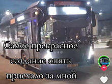 Защитник 51-го автобуса в Кемерове начал набирать популярность в Сети после хейта маршрута