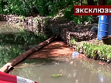 Загрязненная река и ущерб экологии: чем обернулась попытка сдать бочки на металлолом в Лобне