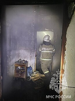 В Юрьянском районе на пожаре в доме погиб мужчина