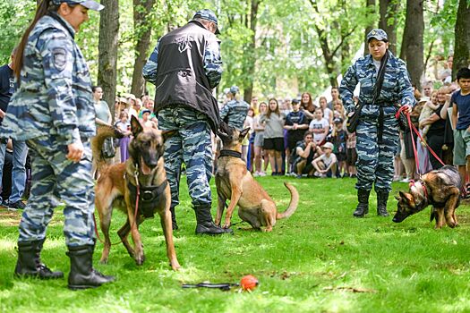 Показательные выступления собак-поводырей пройдут в Ярославском районе 8 сентября