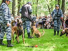 Показательные выступления собак-поводырей пройдут в Ярославском районе 8 сентября