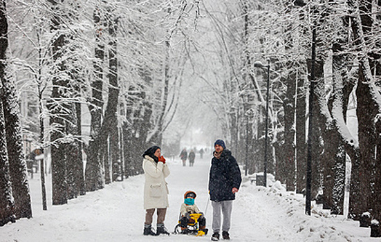 Синоптики пообещали москвичам на Новый год зимнюю сказку